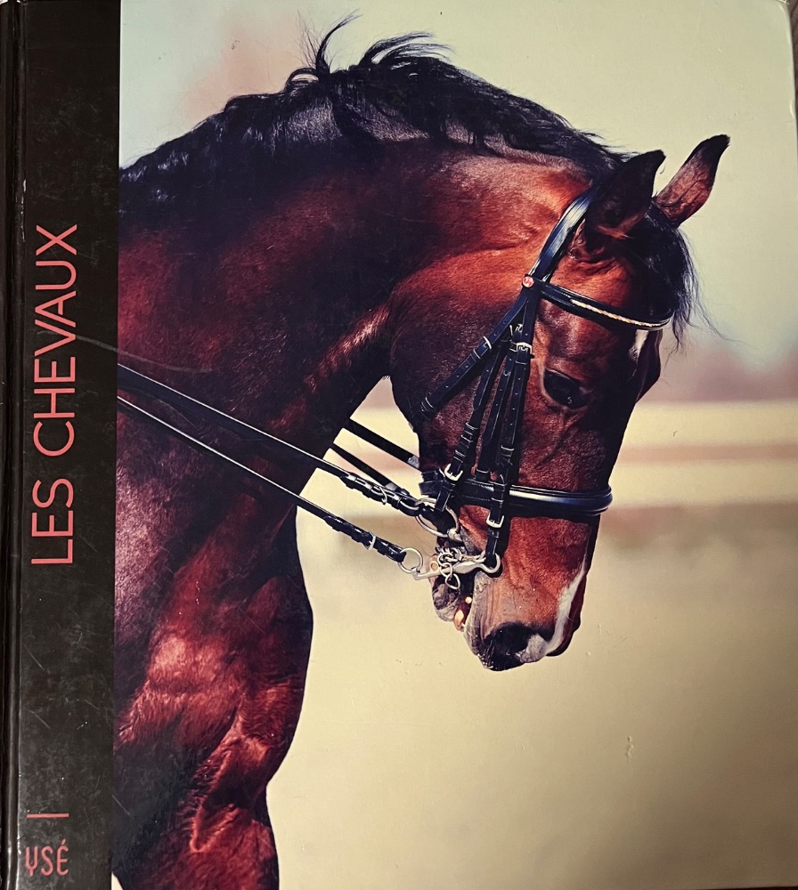 Les chevaux