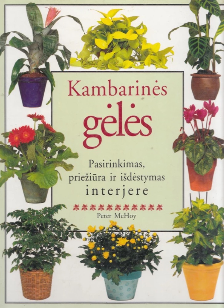 Kambarinės gėlės