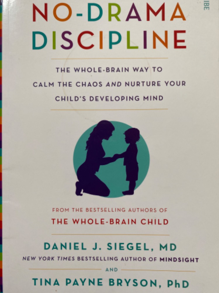 No-Drama Discipline