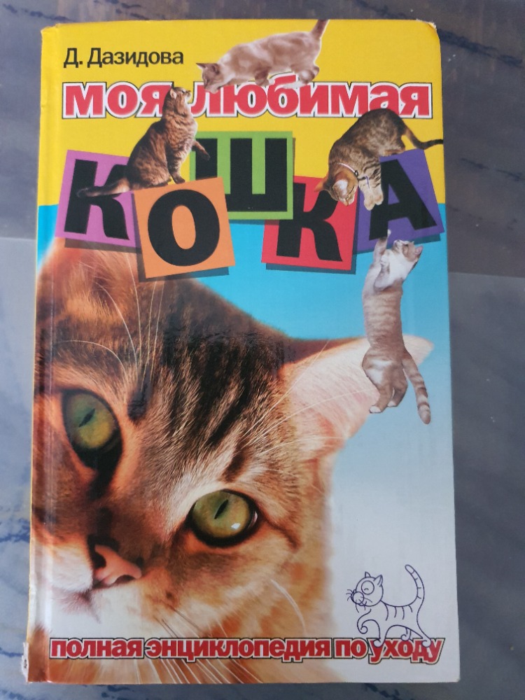 Моя любимая кошка