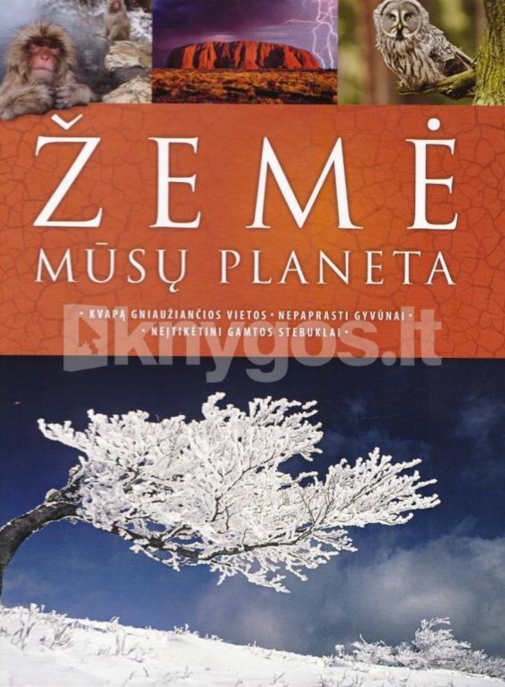 Žemė mūsų planeta