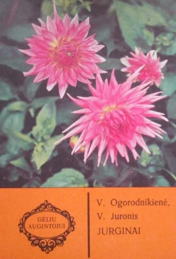 Gėlių augintojui. Jurginai