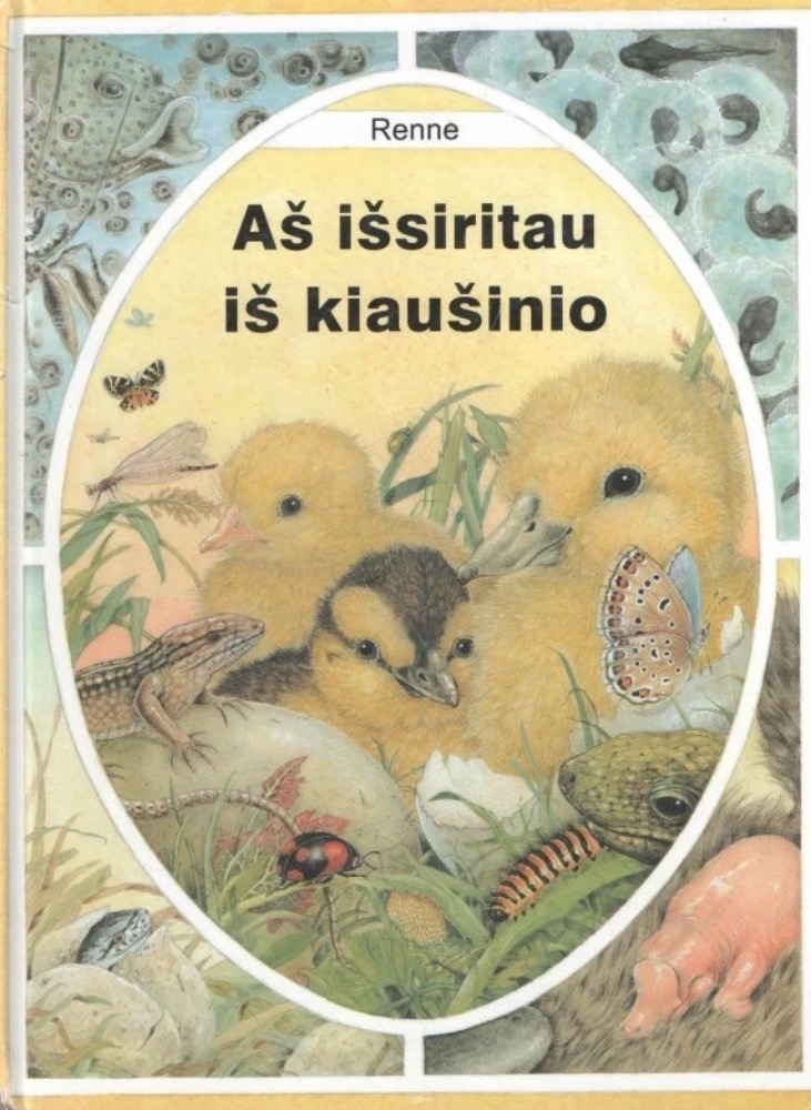 Aš išsiritau iš kiaušinio