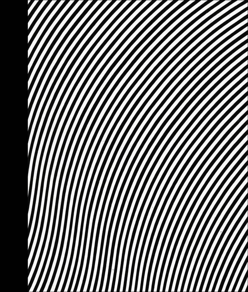 Bridget Riley: Paintings, 1963-2015