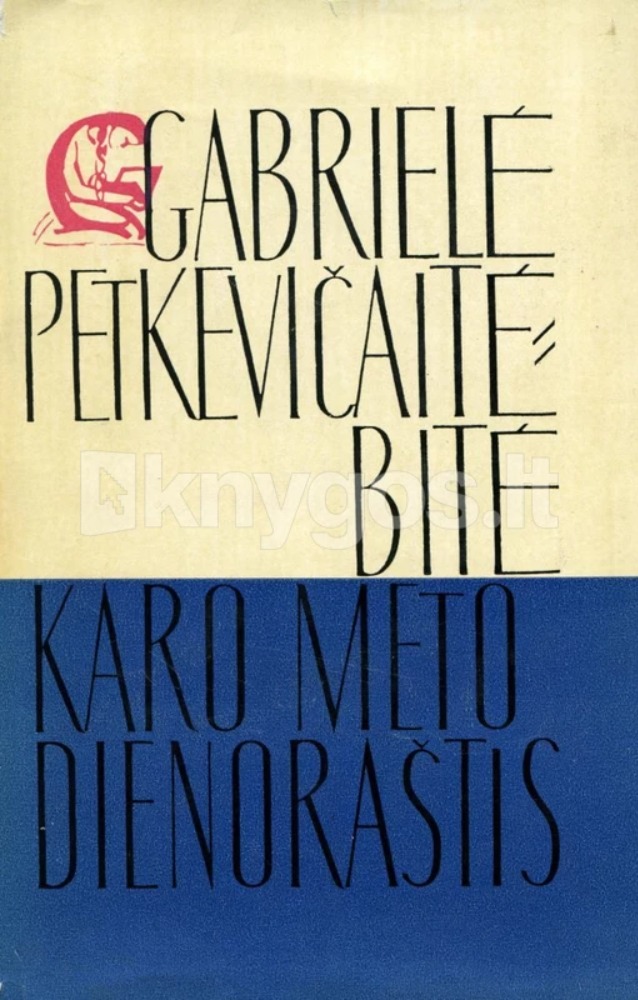 Karo metų dienoraštis