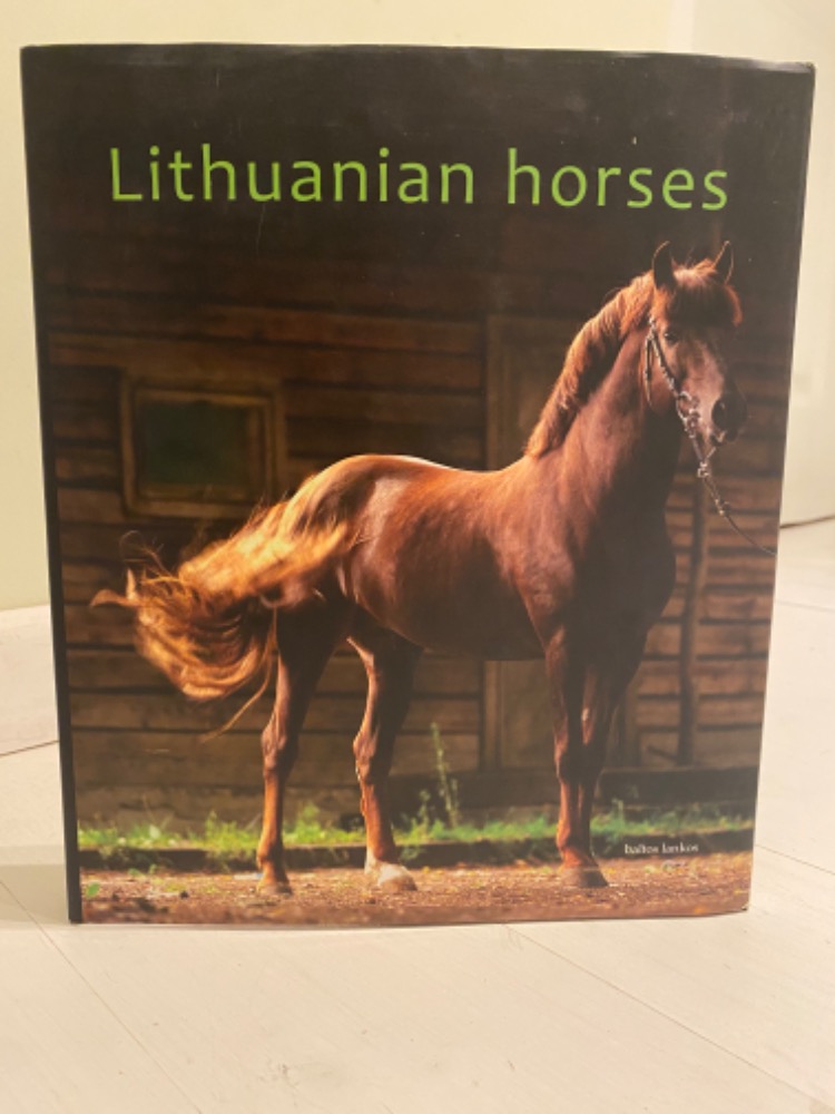Lithuanian horses