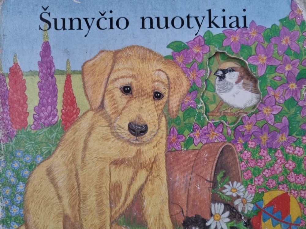 Šunyčio nuotykiai
