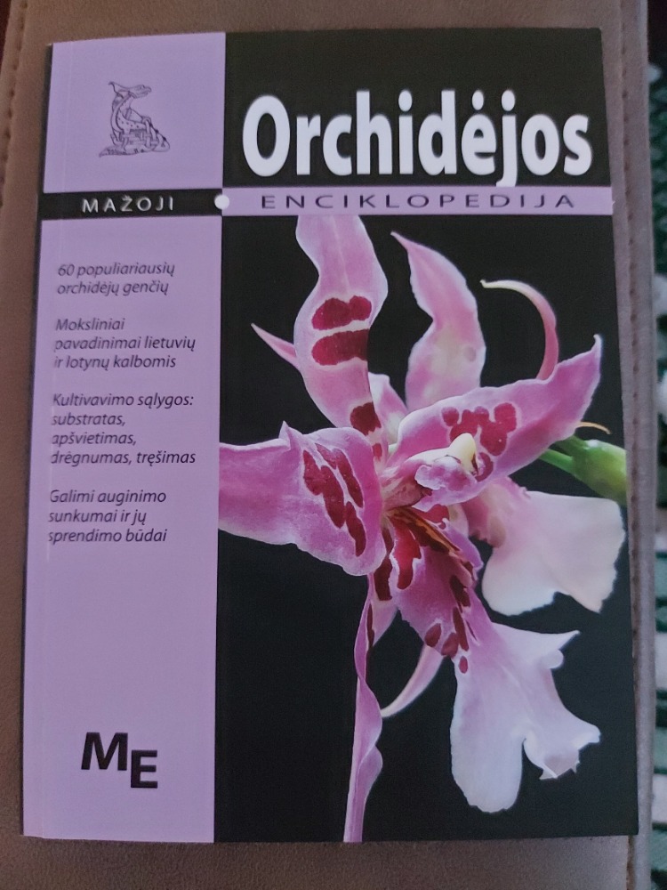 Orchidėjos 