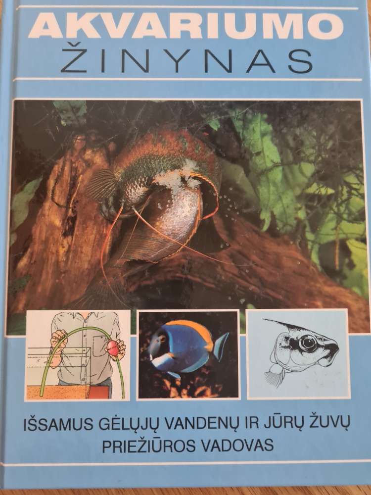Akvariumo žynynas