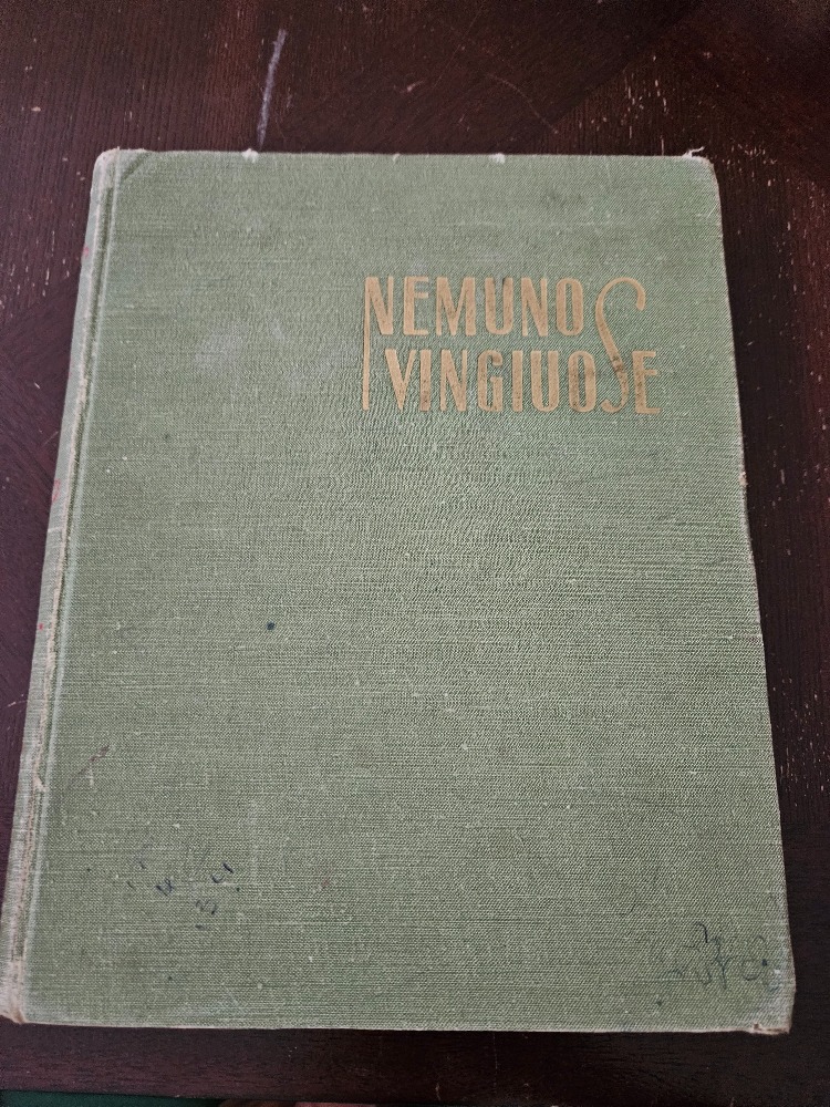Nemuno vingiuose