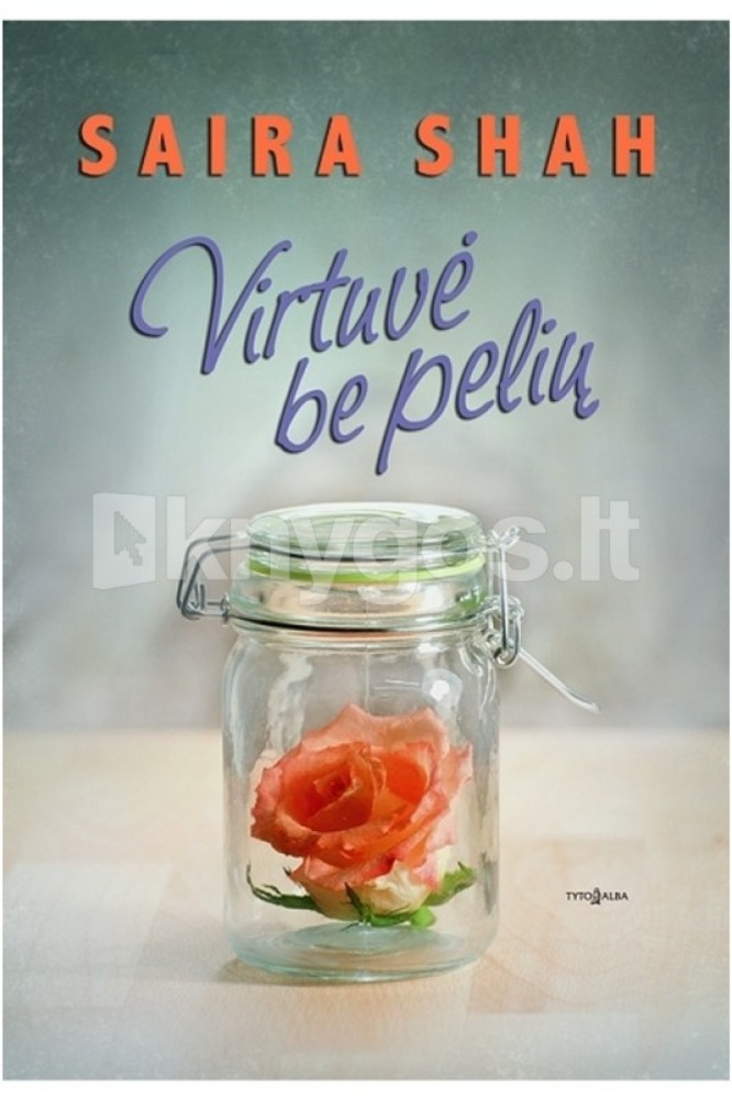Virtuvė be pelių