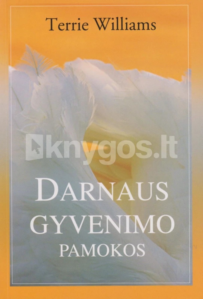 Darnaus gyvenimo pamokos
