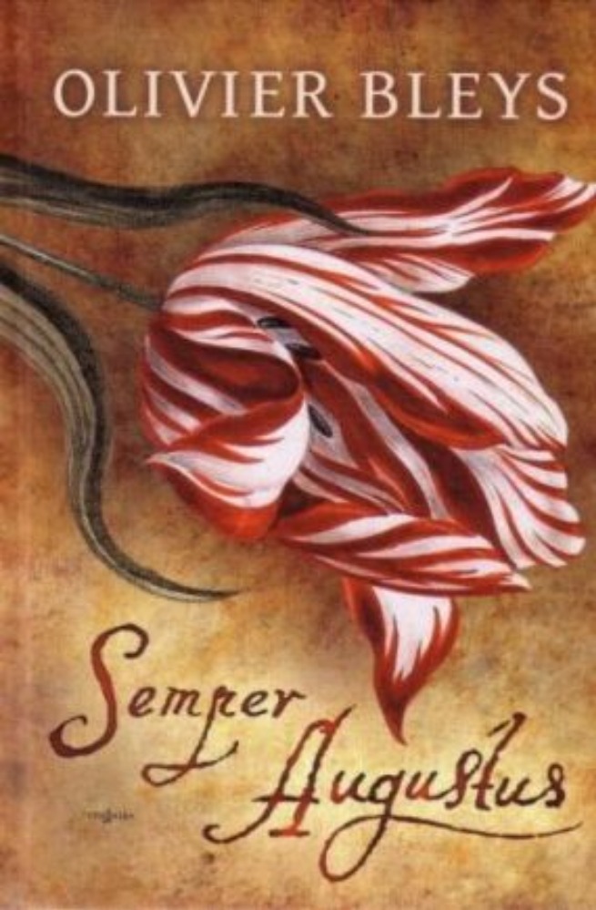Semper Augustus 
