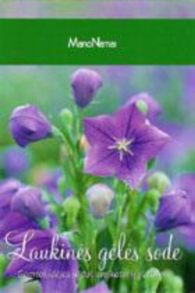 Laukinės gėlės sode