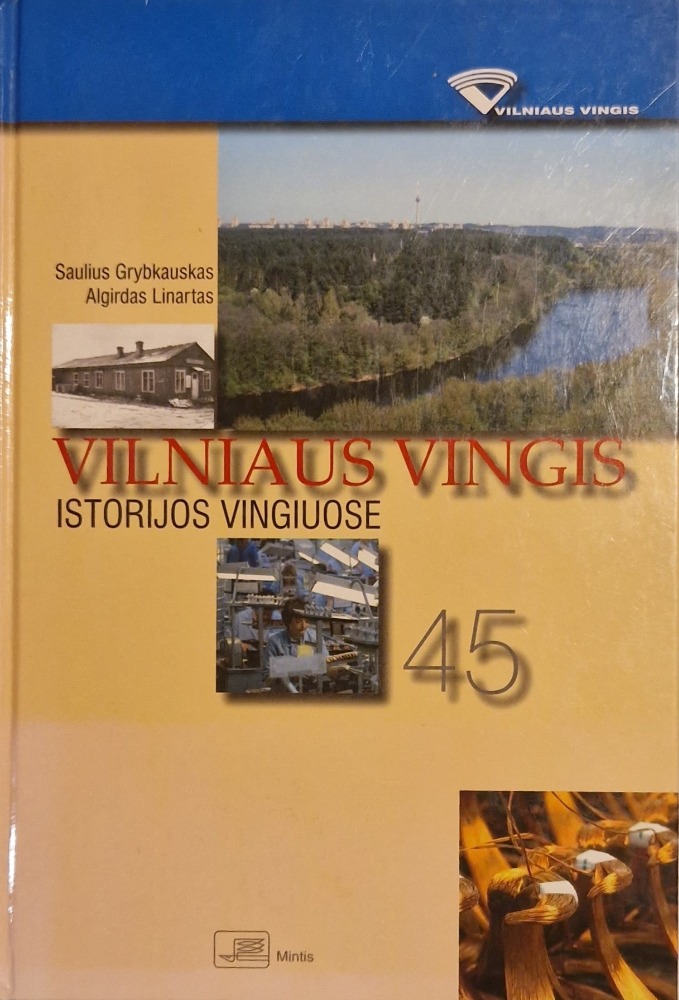 Vilniaus vingis istorijos vingiuose