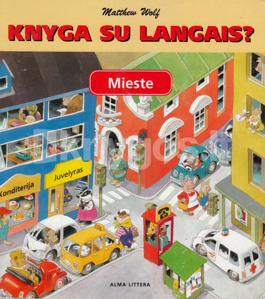 Knyga su langais