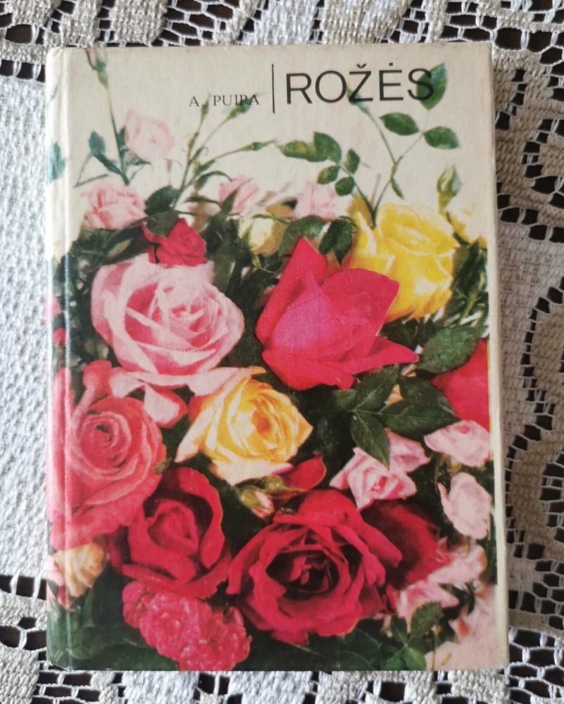 Rozes 