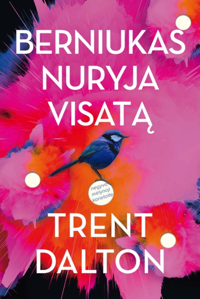 Berniukas nuryja visatą