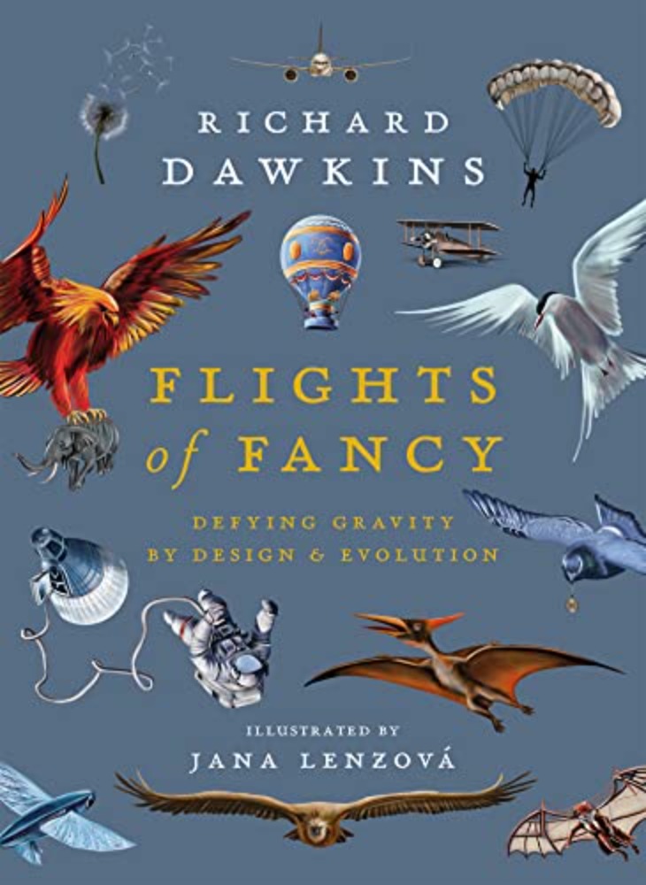 Flights of fancy