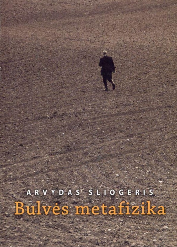 Bulvės metafizika