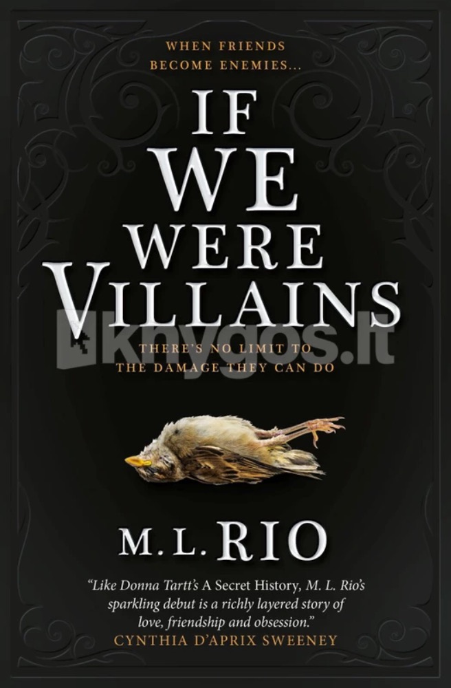 If We Were Villians