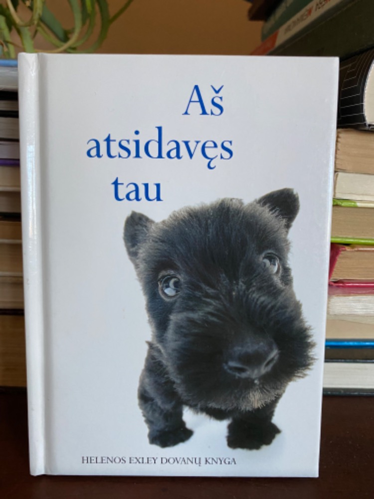 Aš atsidavęs tau