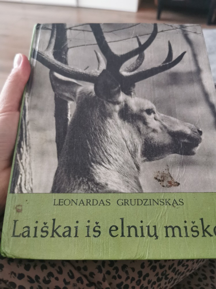 Laiškai iš elnių miško
