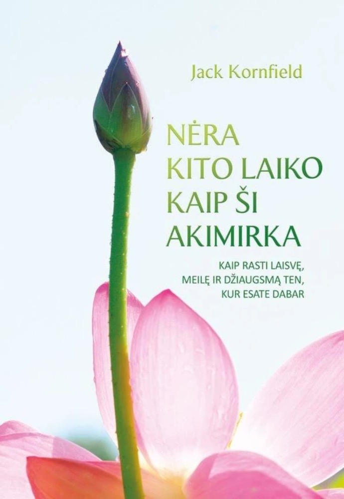 Nėra kito laiko kaip ši akimirka