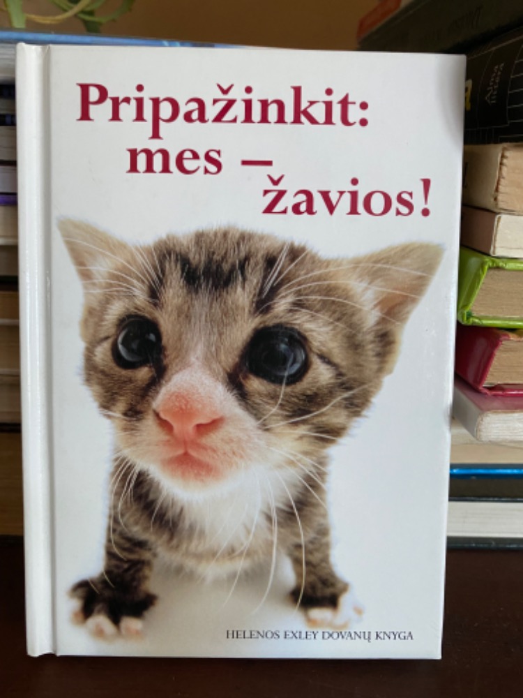 Pripažinkit: mes - žavios