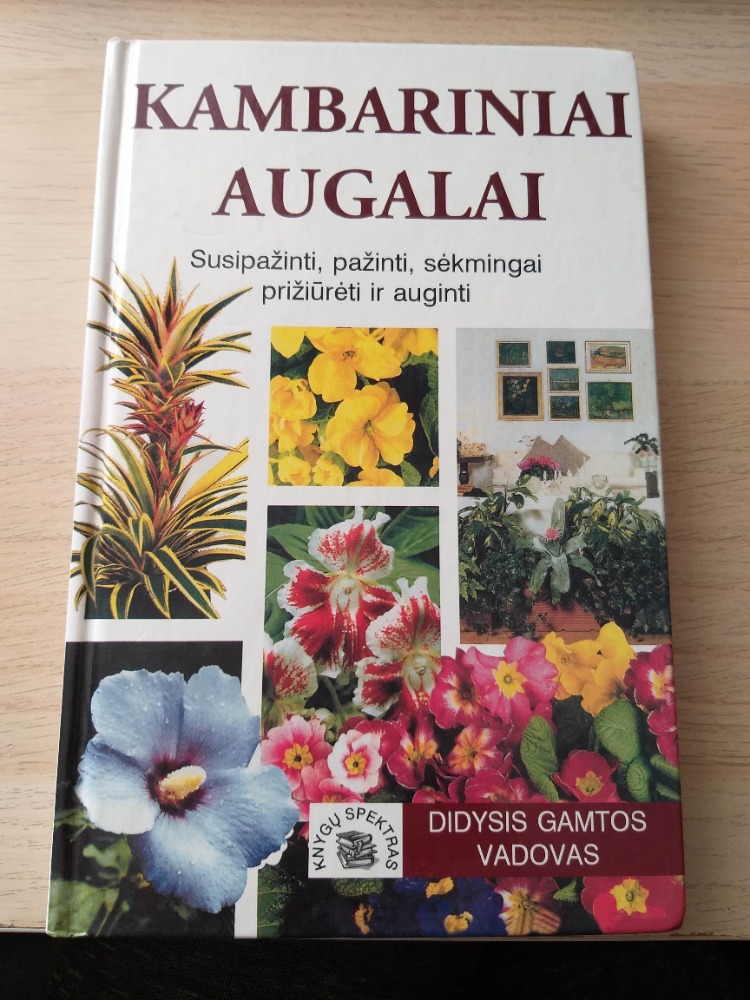 Kambariniai augalai