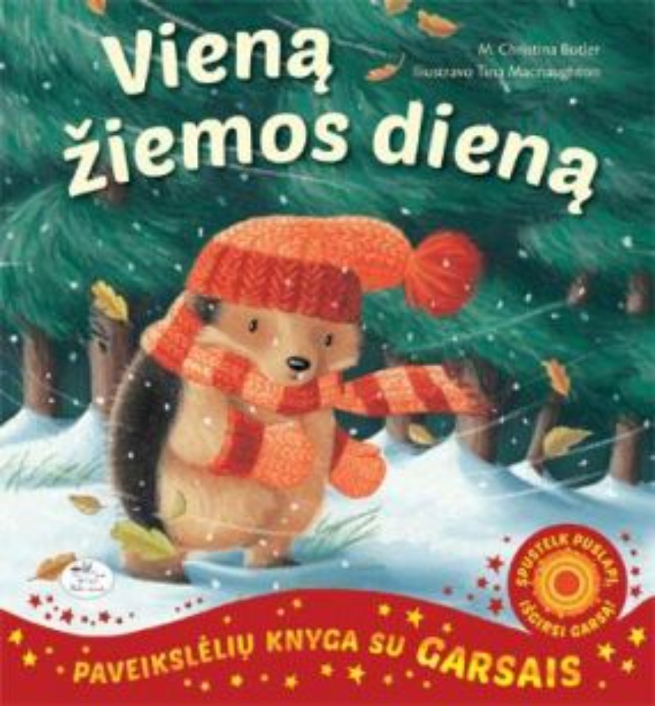 Vieną žiemos dieną
