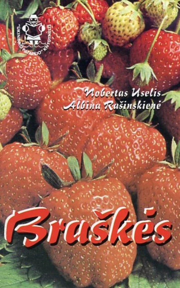 Braškės