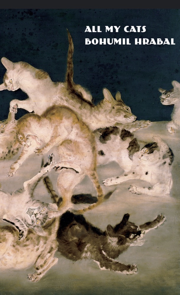 All my cats