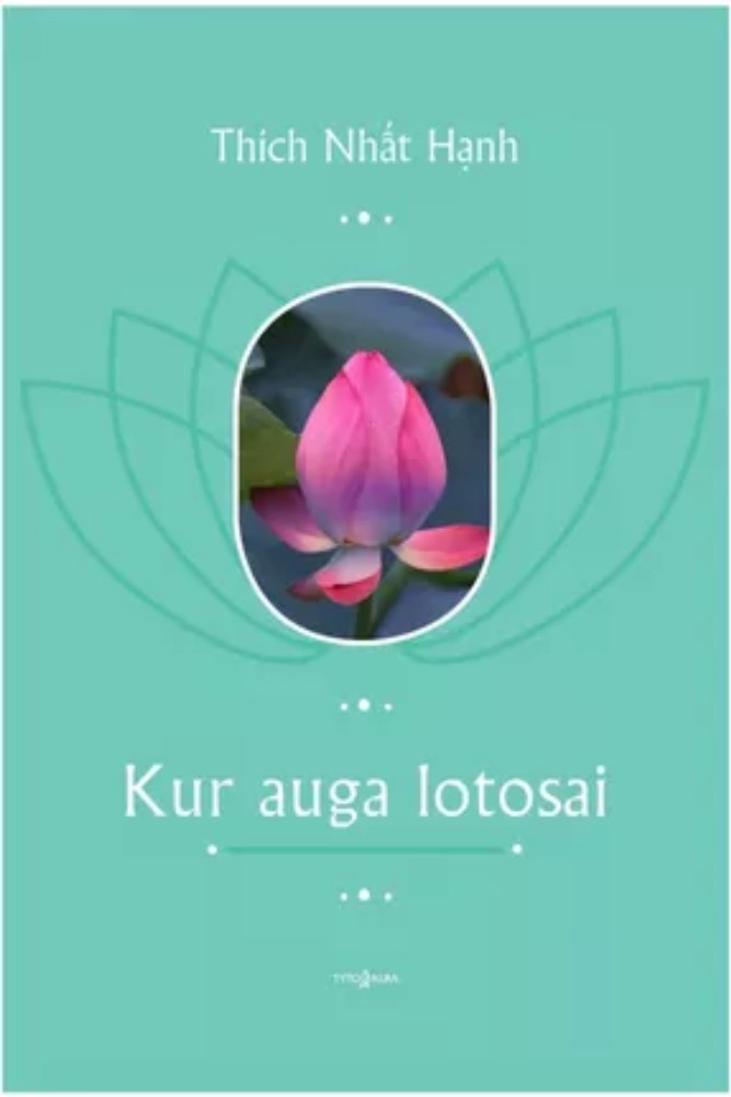 Kur auga lotosai
