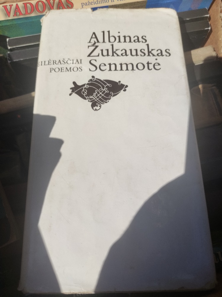 Senmotė