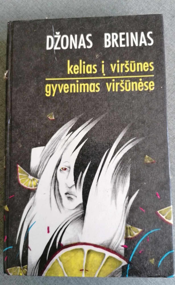 KELIAS Į VIRŠŪNES. GYVENIMAS VIRŠŪNĖSE