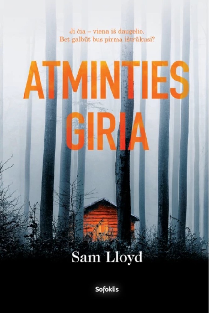 Atminties giria