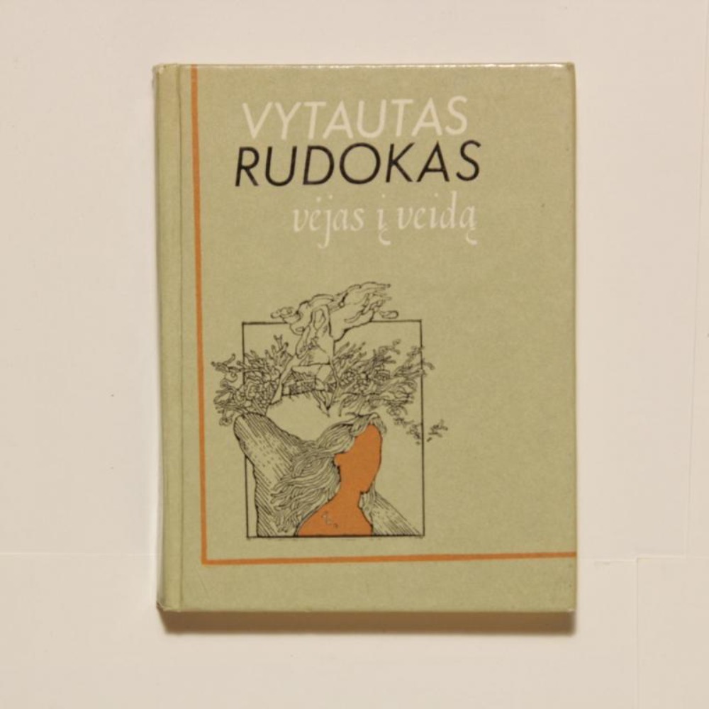 Vėjas į veidą