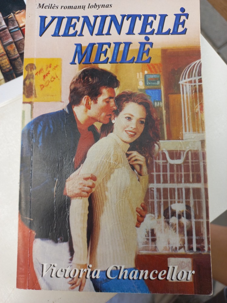 Vienintelė meilė 