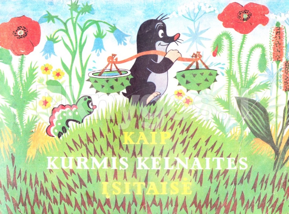 Kaip Kurmis kelnaites įsitaisė