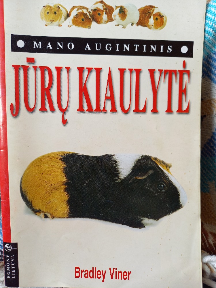 Jūrų kiaulytė