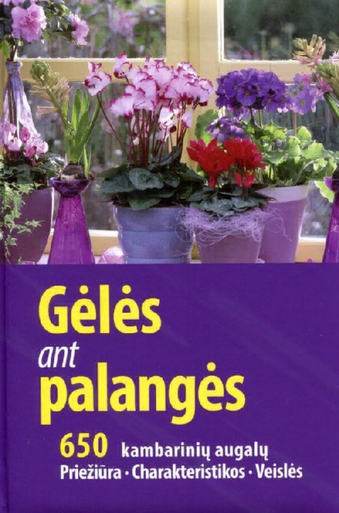 Gėlės ant palangės: 650 kambarinių augalų