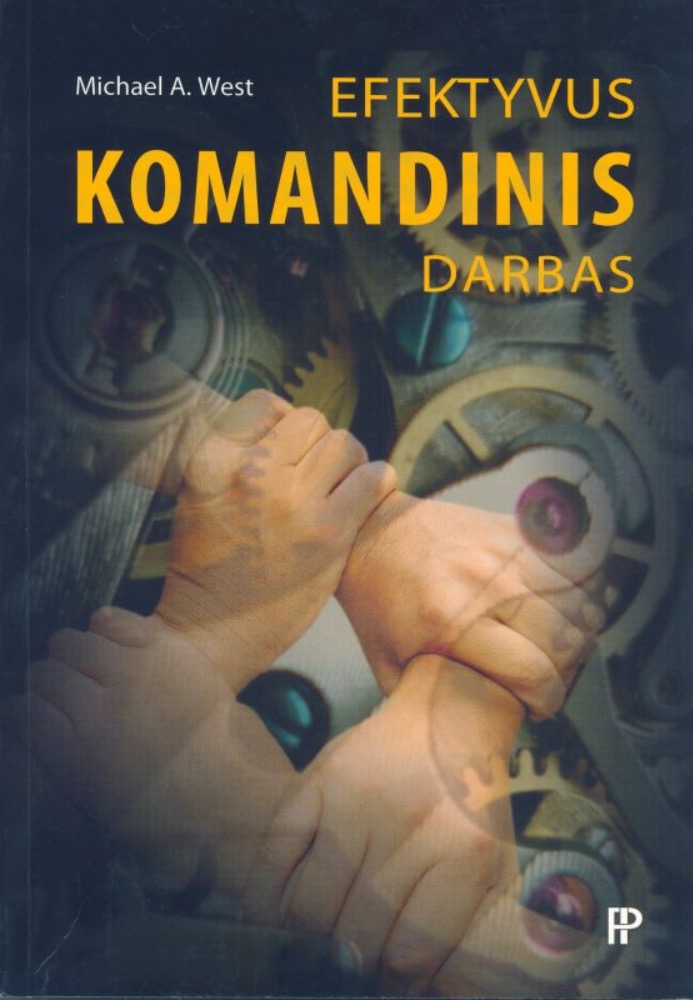 Efektyvus komandinis darbas