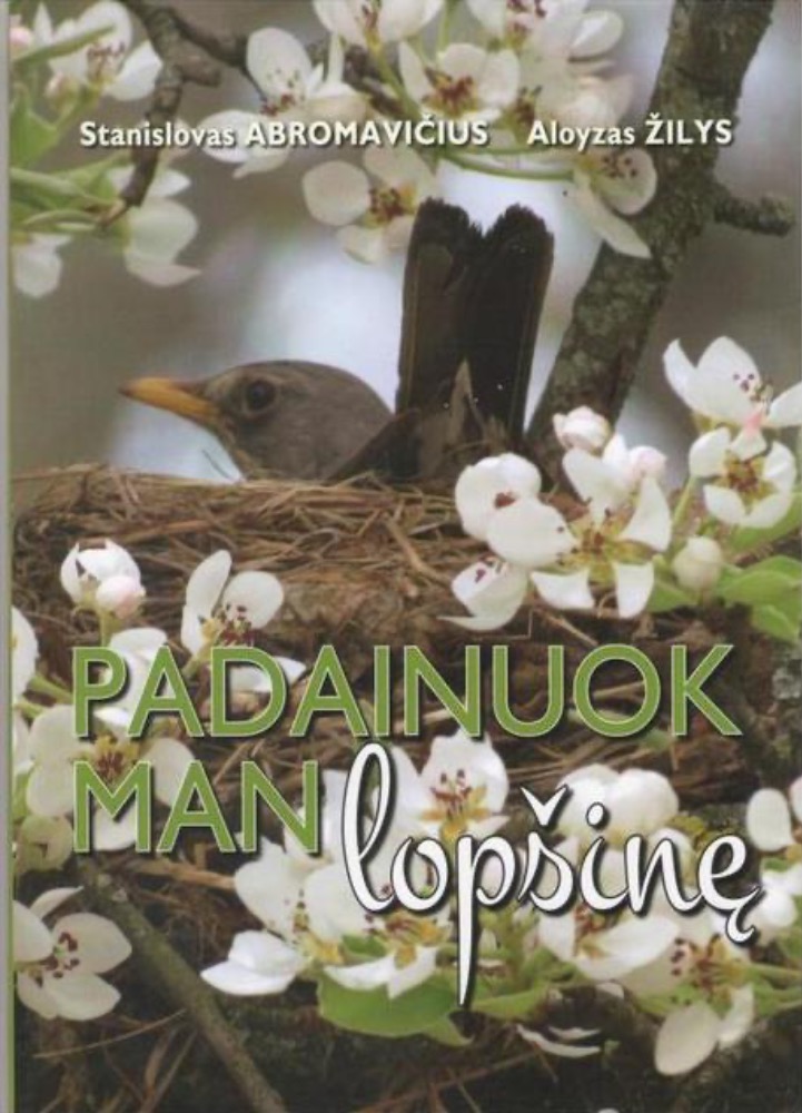 Padainuok man lopšinę
