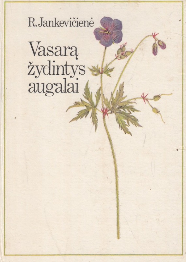 Vasarą žydintys augalai