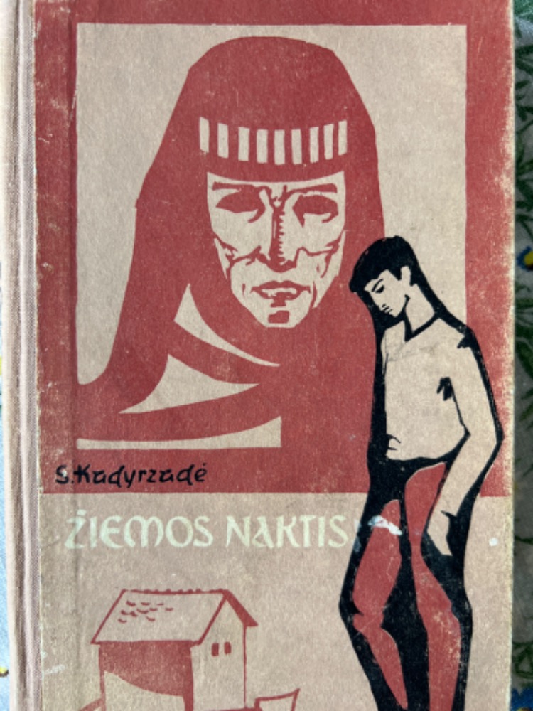 Žiemos naktis