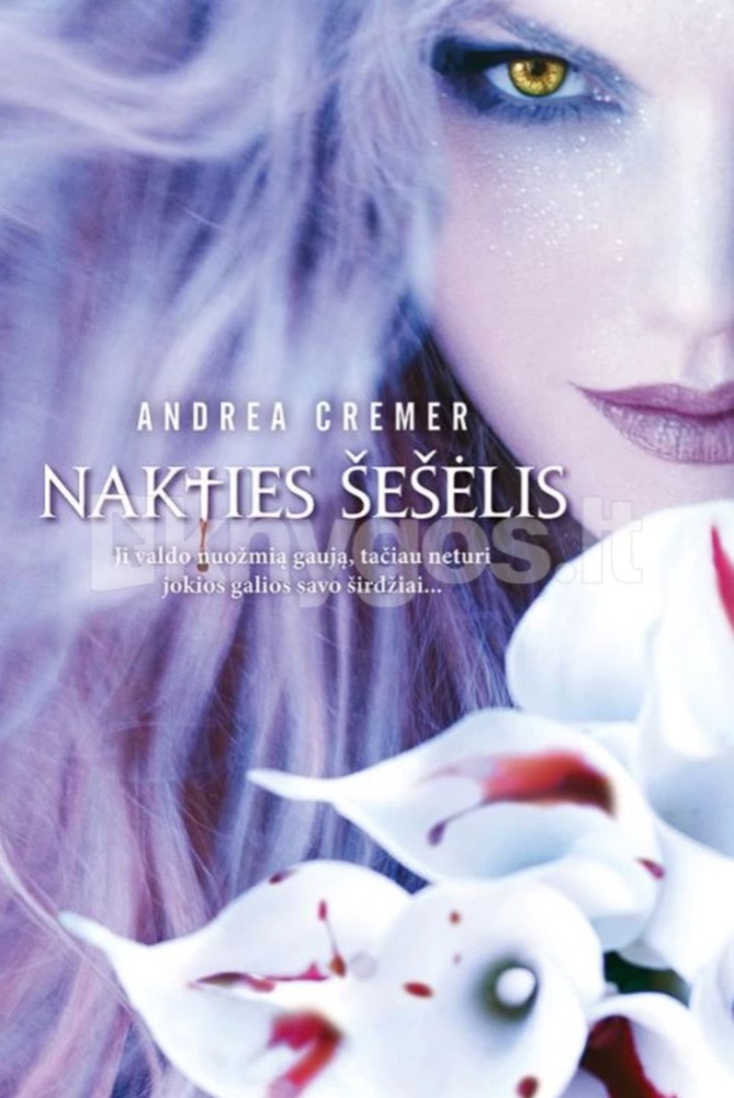 Nakties Šešėlis