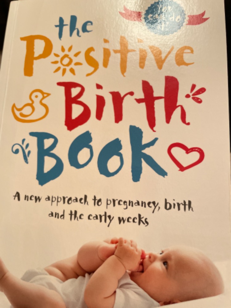 The Positive Birth Book 