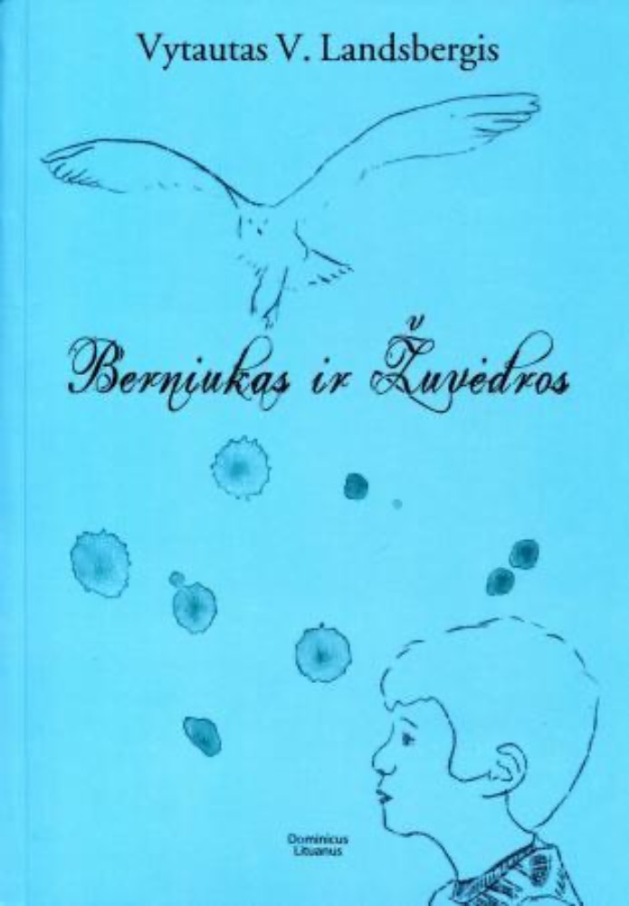 Berniukas ir žuvėdros