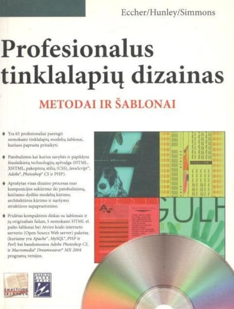 Profesionalus tinklalapių dizainas